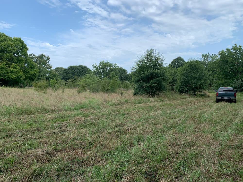 Forestry Mulching Services in Athens, TX