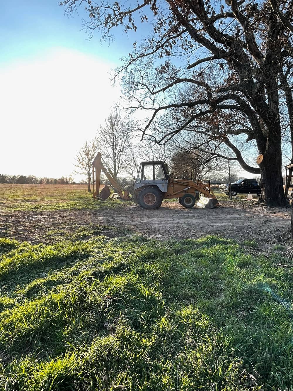 Tree Removal Services in Athens, TX